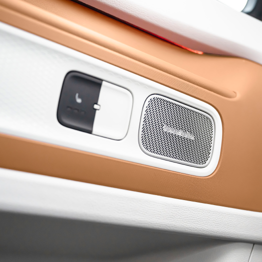 ID.Buzz | Shared Inventory - Stone Mountain Volkswagen in Snellville GA